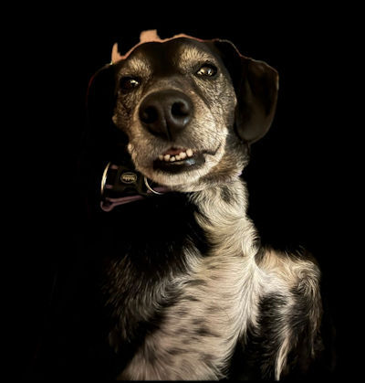 Picture of Dave -URGENT Picture of Dave -URGENT