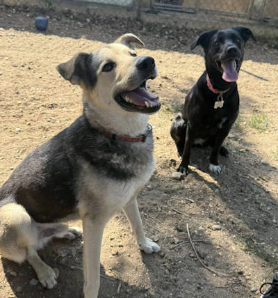Picture of Linus and Lilah