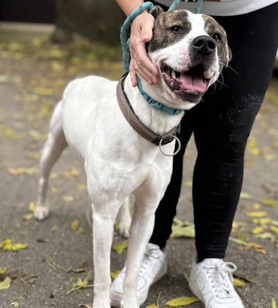 Picture of Tocco Picture of Tocco