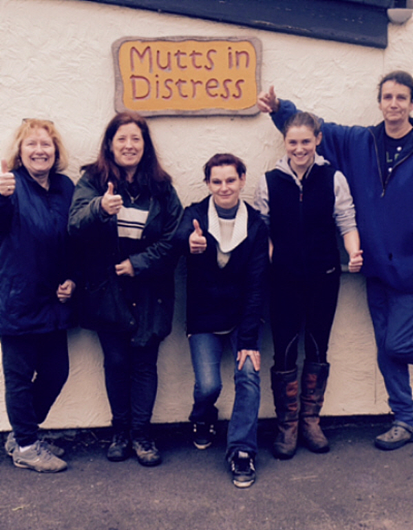 Mutts Team Mutts in Distress